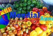 Vente de Légumes Frais à Dakar. Contact : 77 447 00 49