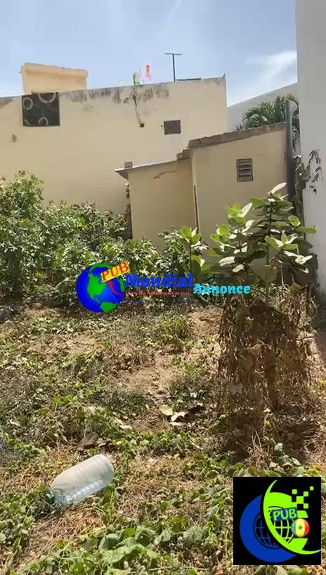 Terrain à Vendre à la Cité Sonatel Liberté 6 – Opportunité Immobilière à Dakar