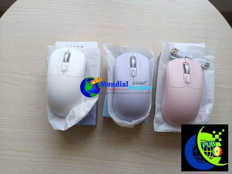 Souris Sans Fil Rechargeable USB 1600 DPI – Neuve à 3 500 FCFA