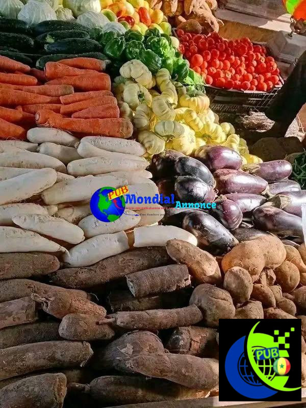 Légumes Frais à Dakar – Livraison à Domicile disponible. Contact : 77 447 00 49