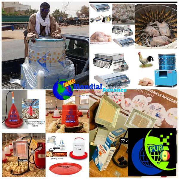 Matériels Avicoles Professionnels – Équipements Élevage de Volaille Haute Qualité au Sénégal