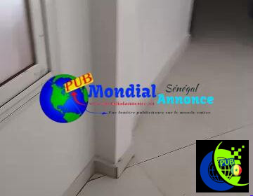 703296519_959760103641459_8900566311836028003_n.jpg