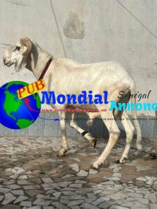 FB IMG 1778494388705