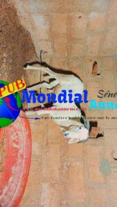 FB IMG 1778503776881