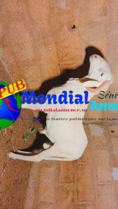 FB IMG 1778503782926