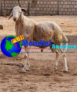 FB IMG 1778581528625