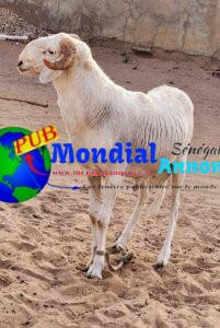 FB IMG 1778581531443