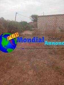 Terrain De 500 M²