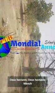Champ De 2 Hectares