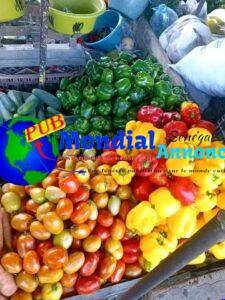 FB IMG 1782127946840