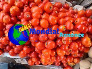 FB IMG 1782127955502