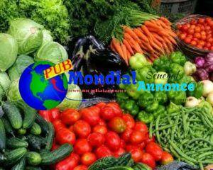 FB IMG 1782302727726