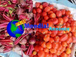 FB IMG 1782302748100