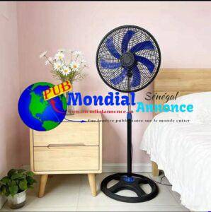 FB IMG 1782390639960