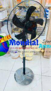 FB IMG 1782390648516