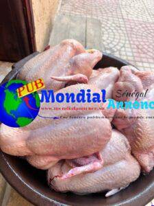 FB IMG 1782474965058