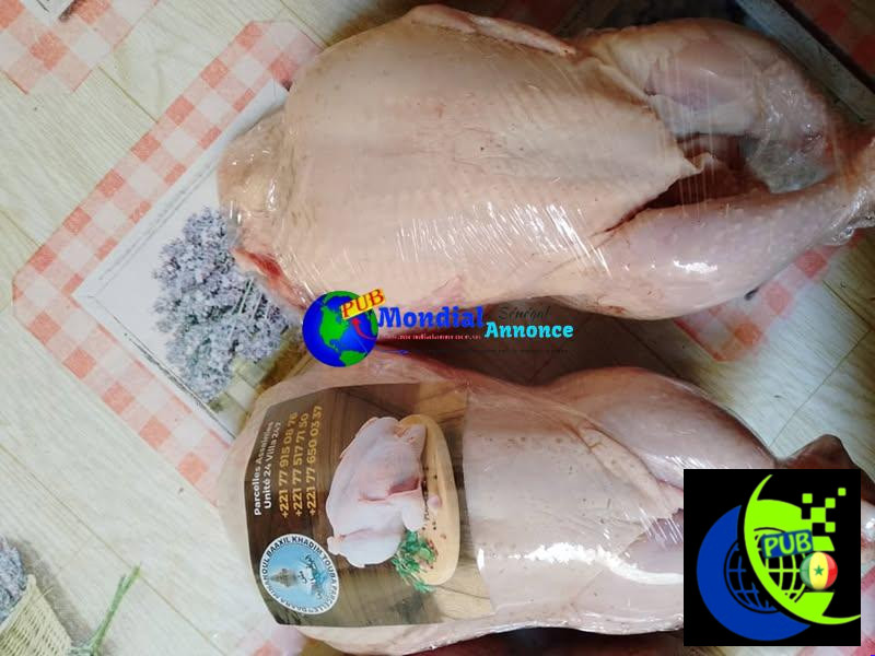 Poulets de chair de 1kg300 à 1kg500 Á Vendre Après Déplumage á 2 500 FCFA