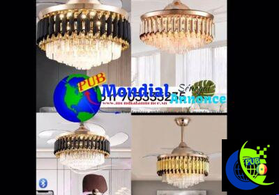 740944997_2906204933059208_1651712942411377623_n.jpg