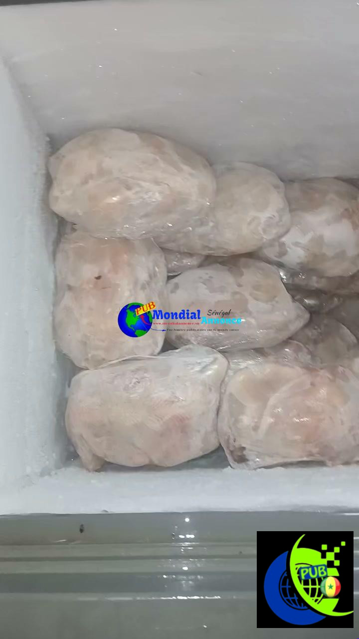 Vente : Poulets de Chair Prêts à Cuire (Déplumés & Bien Congelés) à Tivaouane Peulh pour 2 800 F CFA / Unité