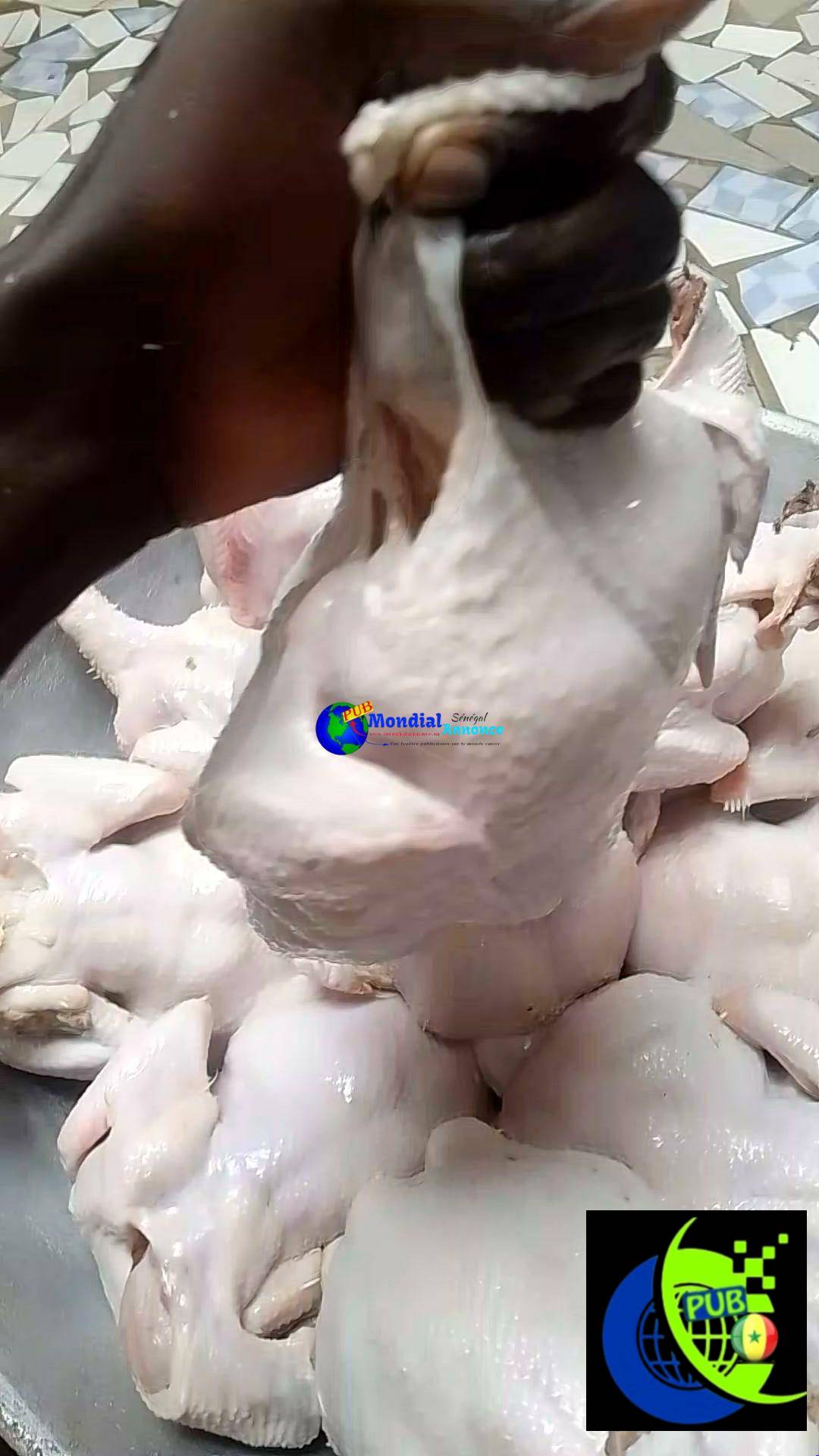 Poulet de chair à Sebikotane disponible – 1,5 à 2 kg