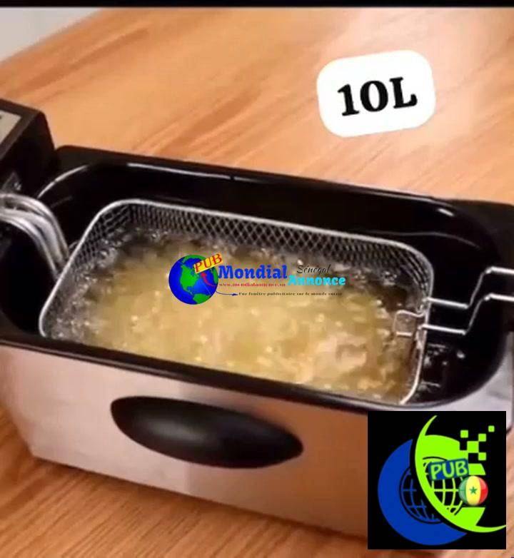 Friteuse électrique 10 L–Grande capacité pour une cuisson rapide