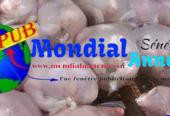 Vente : Poulets de Chair déjà Emballés (1,4 kg à 1,7 kg) à Mboro