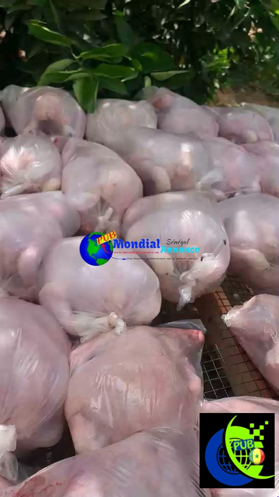 Vente : Poulets de Chair déjà Emballés (1,4 kg à 1,7 kg) à Mboro