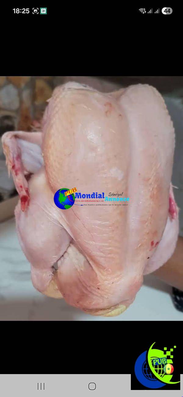 Poulets gros calibres disponibles à 3 500 FCFA