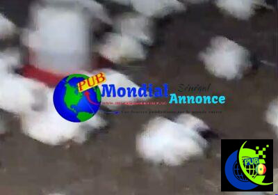 759433616_980378998370992_3903603738260676581_n.jpg