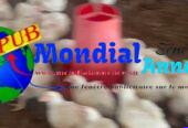 Œufs et poulets de chair disponibles sur commande