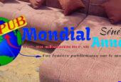 Vente : Fauteuils de Salon Modernes (Modèles & Couleurs Variés) à Dakar. Prix : 250 000 F CFA