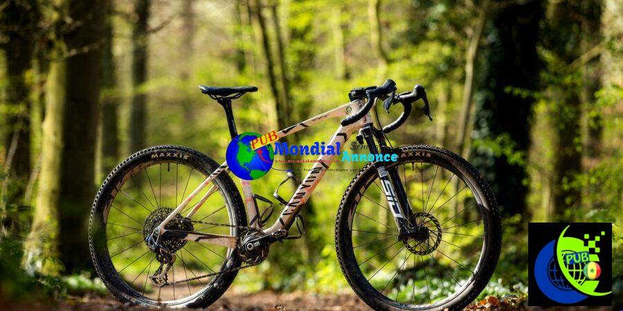 Basse defCanyon Bikes April26 175A6068 C917a2