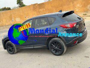 FB IMG 1782907835184