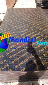 FB IMG 1784545732579