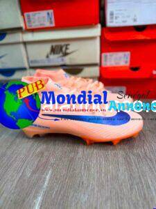 FB IMG 1785147048010