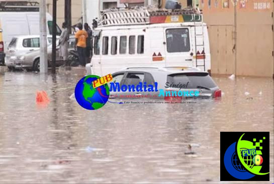 Hivernage au Sénégal : quelles voitures choisir pour affronter les routes inondées ?