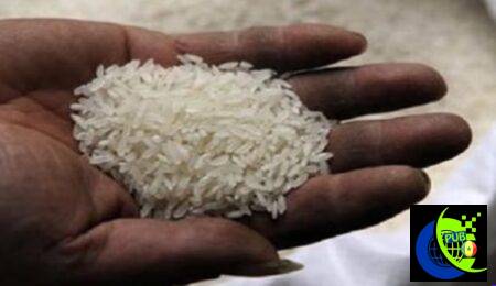 riz 1200x630
