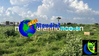 2026 08 21 094638 abc01369