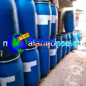 FB IMG 1786101335518