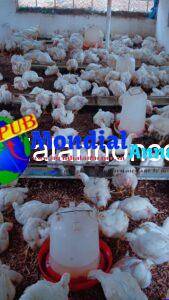 FB IMG 1787316888105