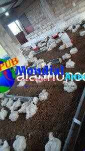FB IMG 1788178101070