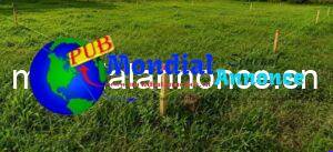 2 Terrains De 300 M²