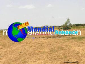 2 Terrains De 300 M²