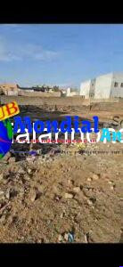 images 99