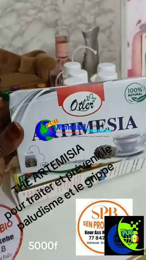 Thé Artemisia disponible à Cité Fadia