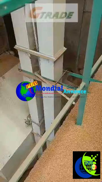 🍚 Riz de la Vallée propre et prêt à la consommation – G-TRADE COMPAGNIE