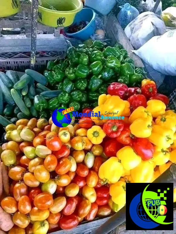 Vente de Légumes Frais à Dakar avec Livraison à Domicile. Contact : 707329490