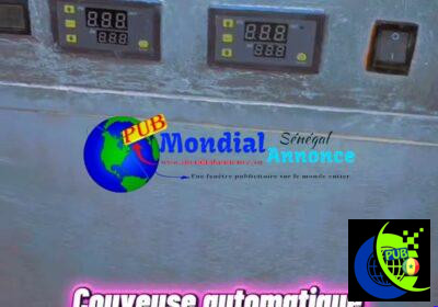 821119700_2138082616842976_5182142249078833304_n.jpg
