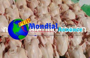 Poulets