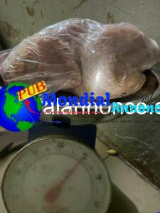 Poulets de Chair